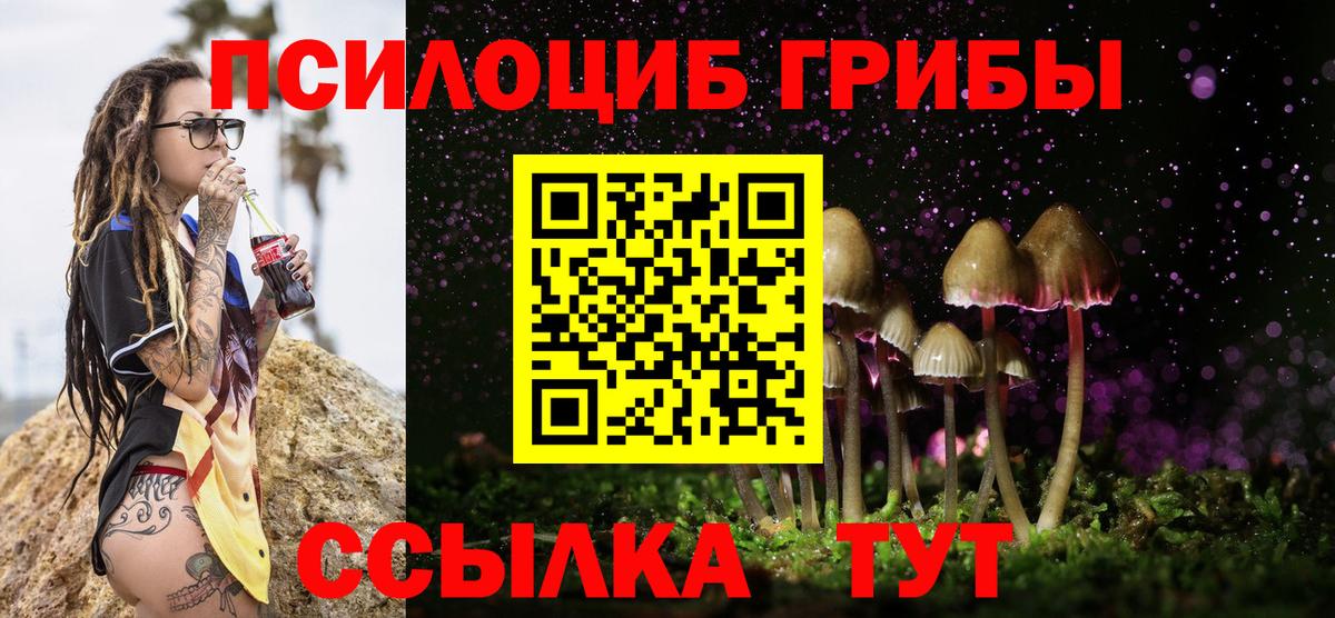 Псилоцибиновые грибы прущие грибы Удомля